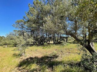 Terreno en venta en Valverde de la Vera