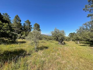 Terreno en venta en Valverde de la Vera