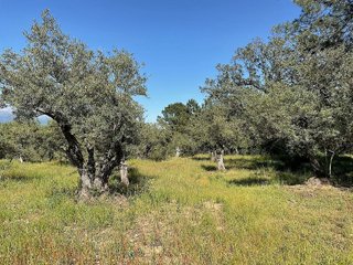 Terreno en venta en Valverde de la Vera