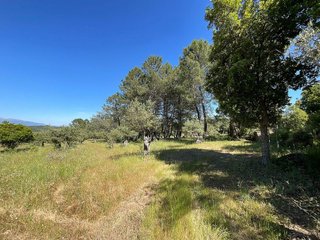 Terreno en venta en Valverde de la Vera