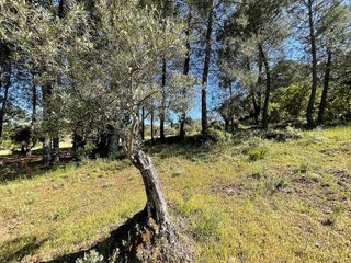 Terreno en venta en Valverde de la Vera