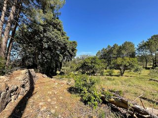 Terreno en venta en Valverde de la Vera