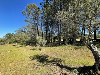 Terreno en venta en Valverde de la Vera