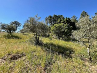 Terreno en venta en Valverde de la Vera