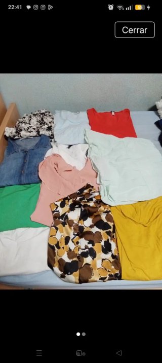 Lote Camisetas .. Blusas..faldas