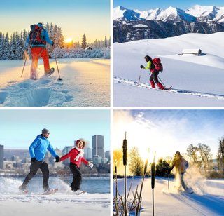 Raquetas de Nieve Alpidex