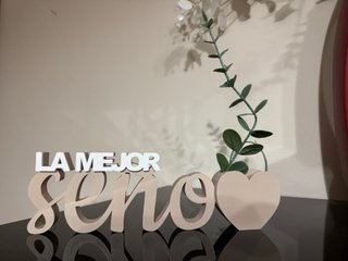 Regalo Profesora La Mejor Seño 3D