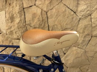 Bicicleta de paseo Trivia 28 Megamo