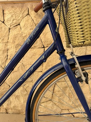 Bicicleta de paseo Trivia 28 Megamo