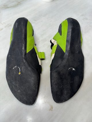 Pies de gato Ocun Jett Qc