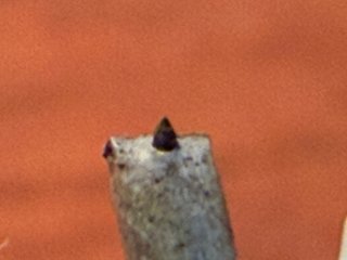 Shell + testina giradischi