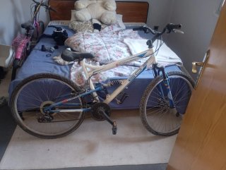 Bicicleta Montaña y Paseo