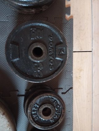 Discos de pesas variados