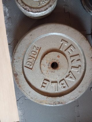 Discos de pesas variados
