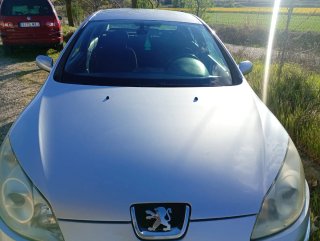 Peugeot 407 2005