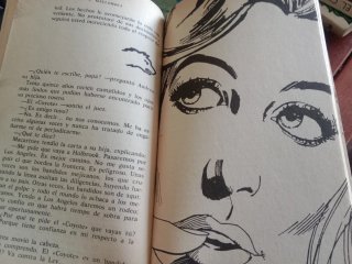 Lote de 20 novelas El Coyote