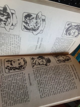 Lote de 20 novelas El Coyote