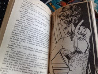 Lote de 20 novelas El Coyote