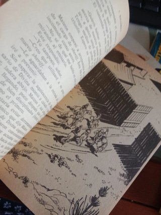 Lote de 20 novelas El Coyote