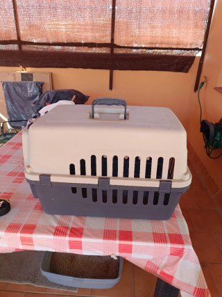 Transportín gato y perro beige/gris