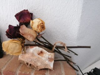 Ramo de rosas secas