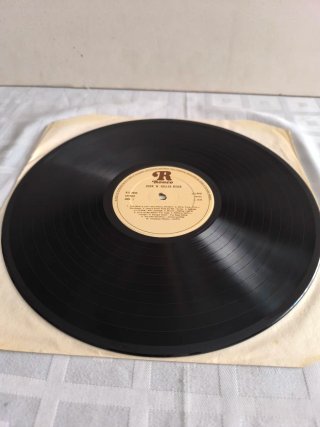 Rock 'N Roller Disco - 20 Hits Artistas Originales