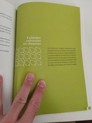 Manual de cultivo de choperas en La Rioja