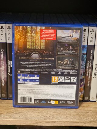 Hogwarts Legacy PS4 (PlayStation 4)