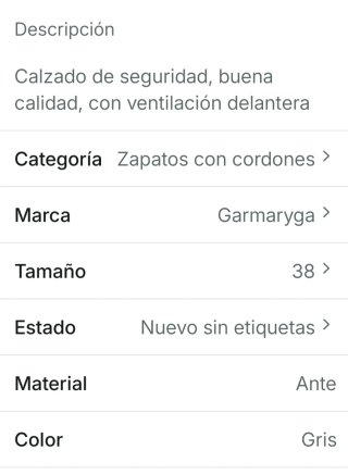 Zapatos de trabajo con protección