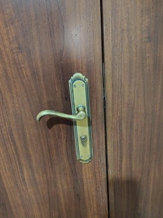 Puerta exterior aluminio, efecto madera