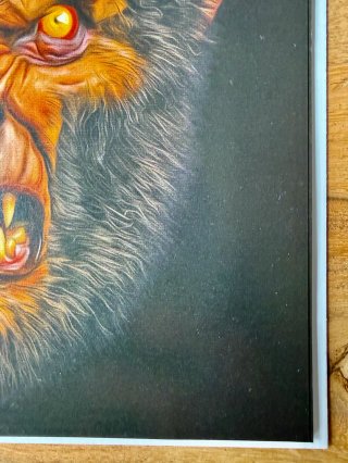 Comics USA The Monster And The Wolf #1 Mark Spears