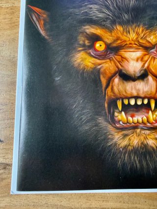 Comics USA The Monster And The Wolf #1 Mark Spears