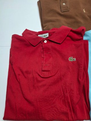 Lote 5 polos Lacoste y Polo Ralph Lauren