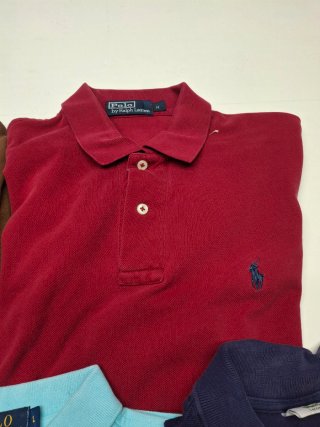 Lote 5 polos Lacoste y Polo Ralph Lauren