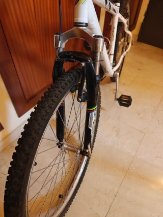 Bicicleta de Montaña Orbea Blanca