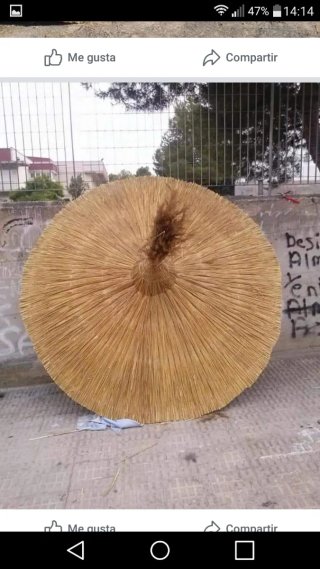 Sombrilla de mimbre y sisca para piscina