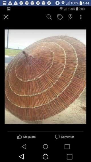Sombrilla de mimbre y sisca para piscina