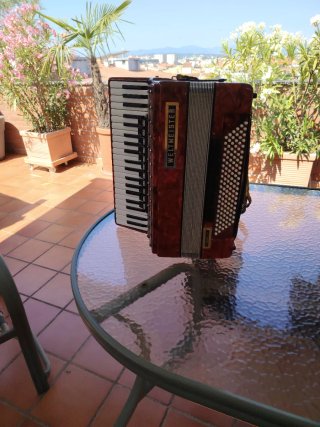 Acordeón Weltmeister Serino DeLuxe 120 bajos