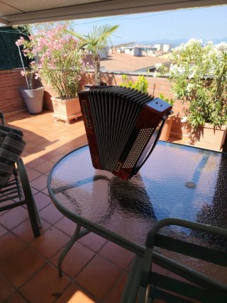 Acordeón Weltmeister Serino DeLuxe 120 bajos