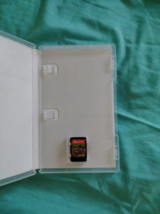 Minecraft Nintendo Switch