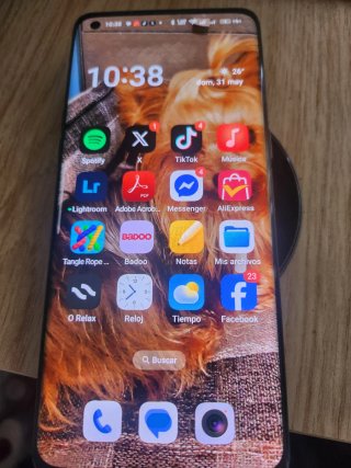 Oppo Find X5 Pro Negro/Gris