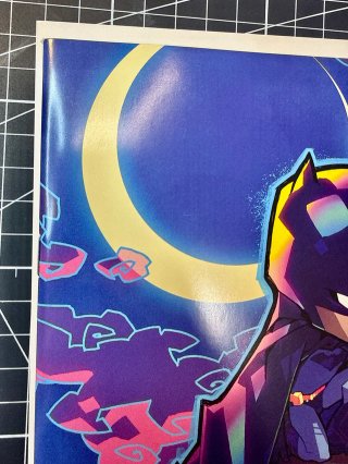 Comics USA Batman #137 Portada Rose Besch Variant