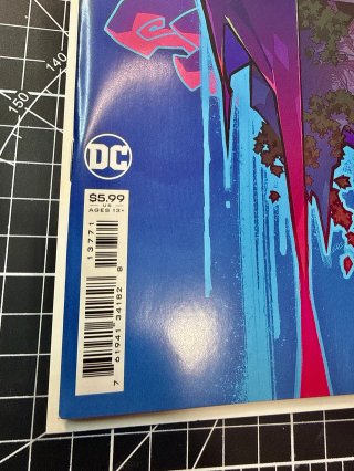 Comics USA Batman #137 Portada Rose Besch Variant