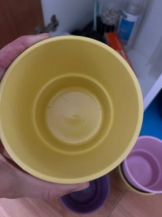 Vasi Ikea Papaja e Socker