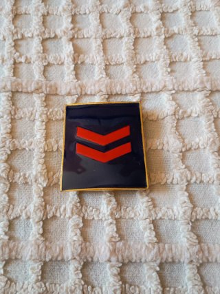 Distintivi Vigilanza e Polizia Italiana