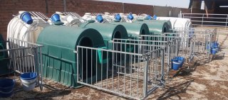 Caseta para terneros y accesorios
