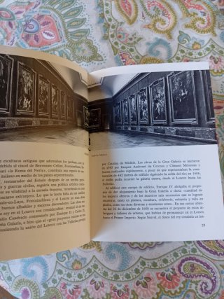 Libro,el louvre