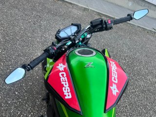 Kawasaki Z800 Naked Verde/Negra