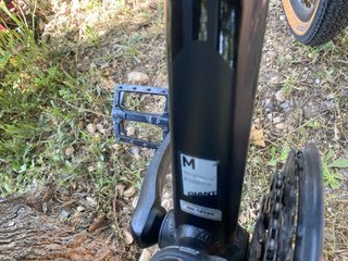 Bicicleta Giant Negra