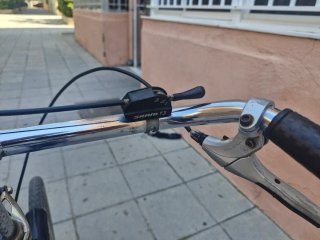 Bicicleta Gazelle Negra